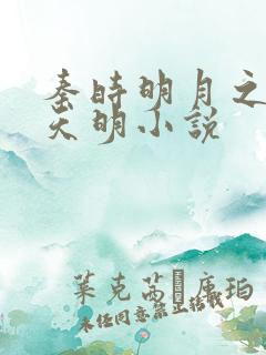 秦时明月之夜尽天明小说