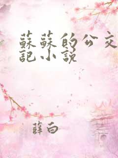 苏苏的公交车日记小说