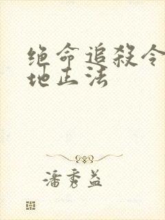 绝命追杀令2就地正法