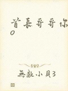 首长哥哥你好po