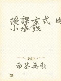 授课方式 肉馅小水饺