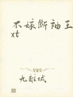 不嫁断袖王爷txt