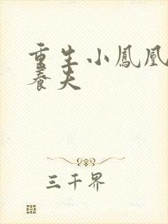 重生小凤凰的童养夫