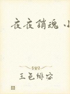 夜夜销魂 小说