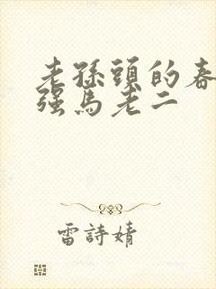 老孙头的春天马强马老二