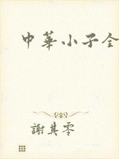 中华小子全集