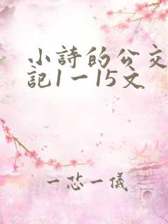 小诗的公交车日记1一15文
