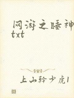 网游之睡神传说txt