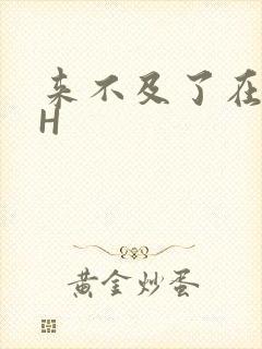 来不及了在车CH