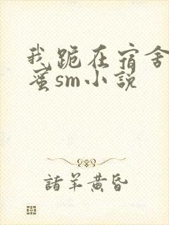 我跪在宿舍被闺蜜sm小说