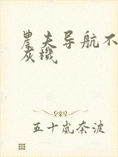 农夫导航不要打灰机