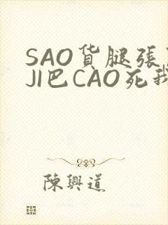 SAO货腿张开JI巴CAO死我