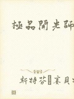 极品开光师阅读