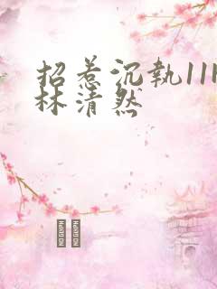 招惹沉执11H林清然