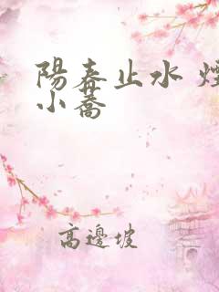 阳春止水 烟树小荞