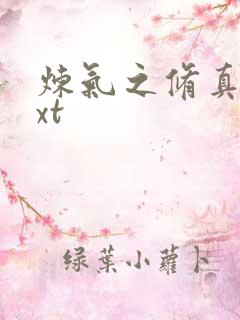 炼气之修真者txt