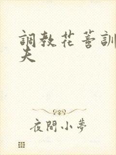 调教花蒂训诫从夫