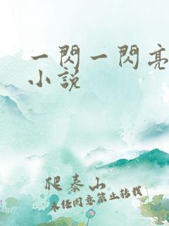 一闪一闪亮星星小说