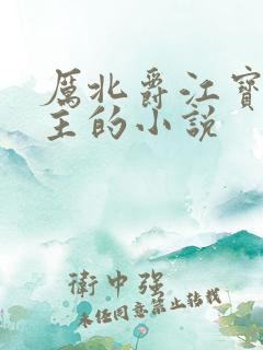 厉北爵江宝宝男主的小说