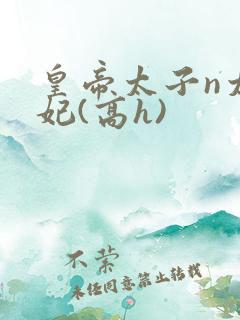 皇帝太子n太子妃(高h)