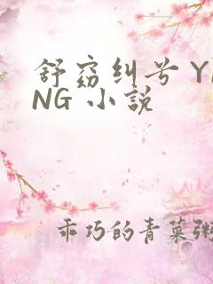 舒窈纠兮 YING 小说