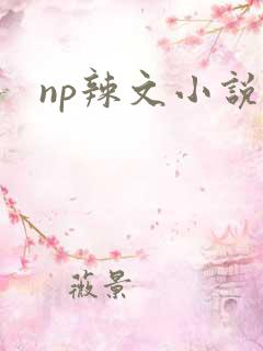 np辣文小说