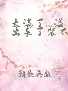 太满了...溢出来了装不下了