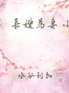 长嫂为妻 小说