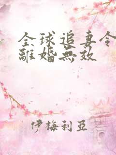 全球追妻令老婆离婚无效