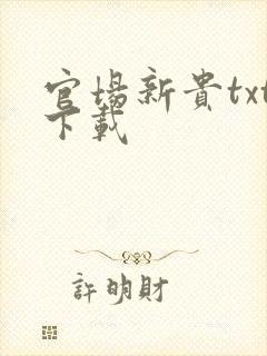 官场新贵txt下载