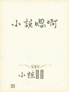 小说嗯啊