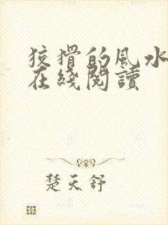 狡猾的风水相师在线阅读