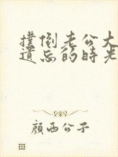 扑倒老公大人在遗忘的时光里重逢