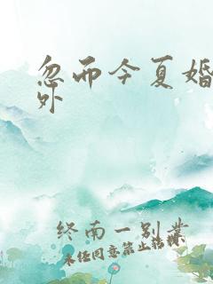 忽而今夏婚后番外