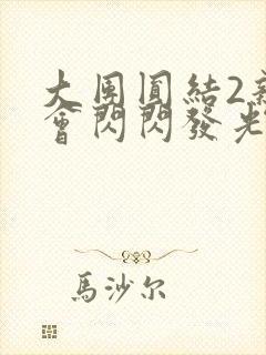 大团圆结2亲情会闪闪发光亲情会2