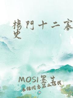 杨门十二寡妇艳史
