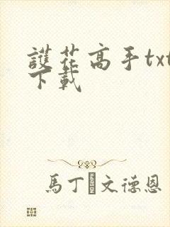 护花高手txt下载