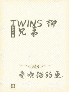 TWINS 柳澤兄弟