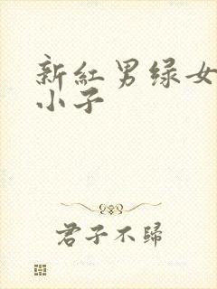 新红男绿女之坏小子