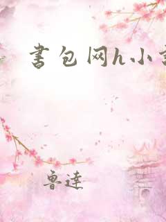 书包网h小说