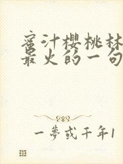 蜜汁樱桃林妙妙最火的一句