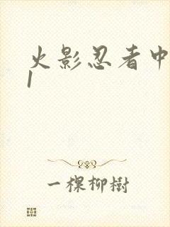 火影忍者中文网1