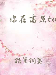 你在高原txt