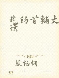 我的首辅大人陆璟