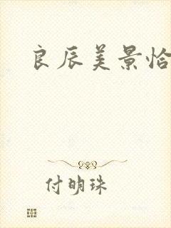 良辰美景恰似你