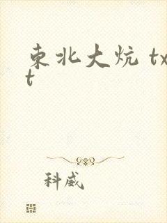 东北大炕 txt
