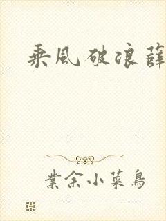 乘风破浪薛家良