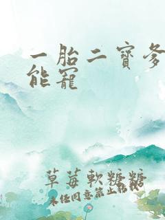 一胎二宝爹地超能宠