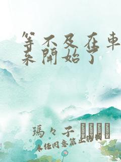 等不及在车里就来开始了