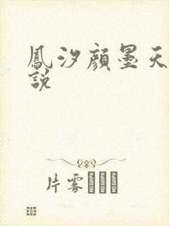 凤汐颜墨天问小说